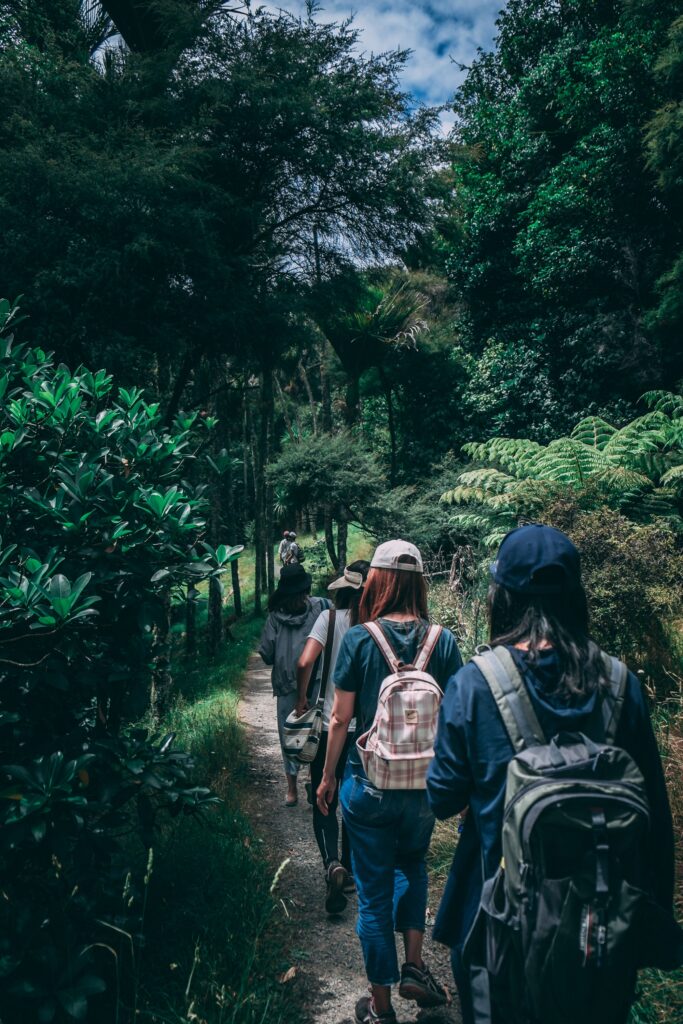 Top 5 Places To Hike In Nelson Mandela Bay