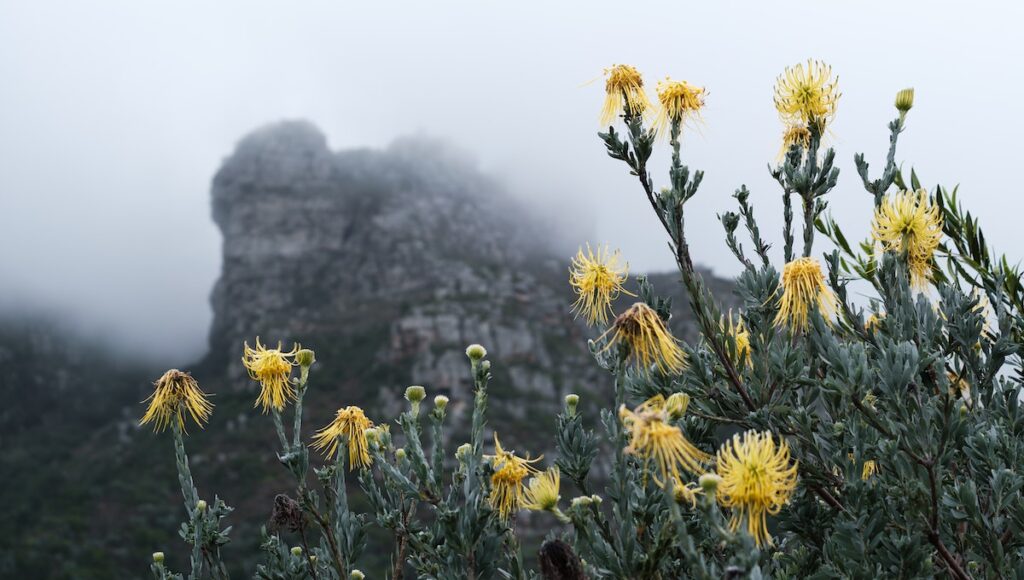National Tourism Week Discount Deals At Botanical Gardens