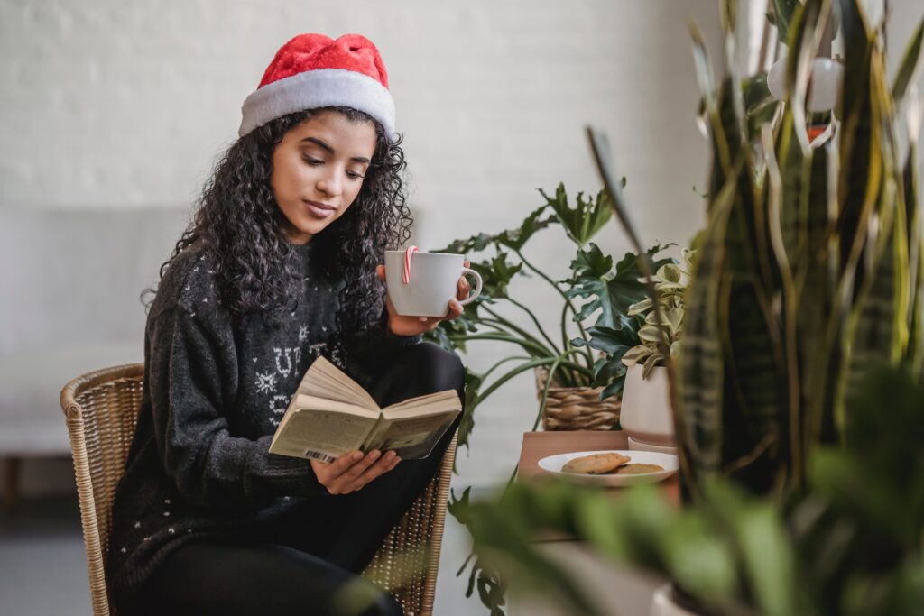 Books That Bring The Festive Cheer