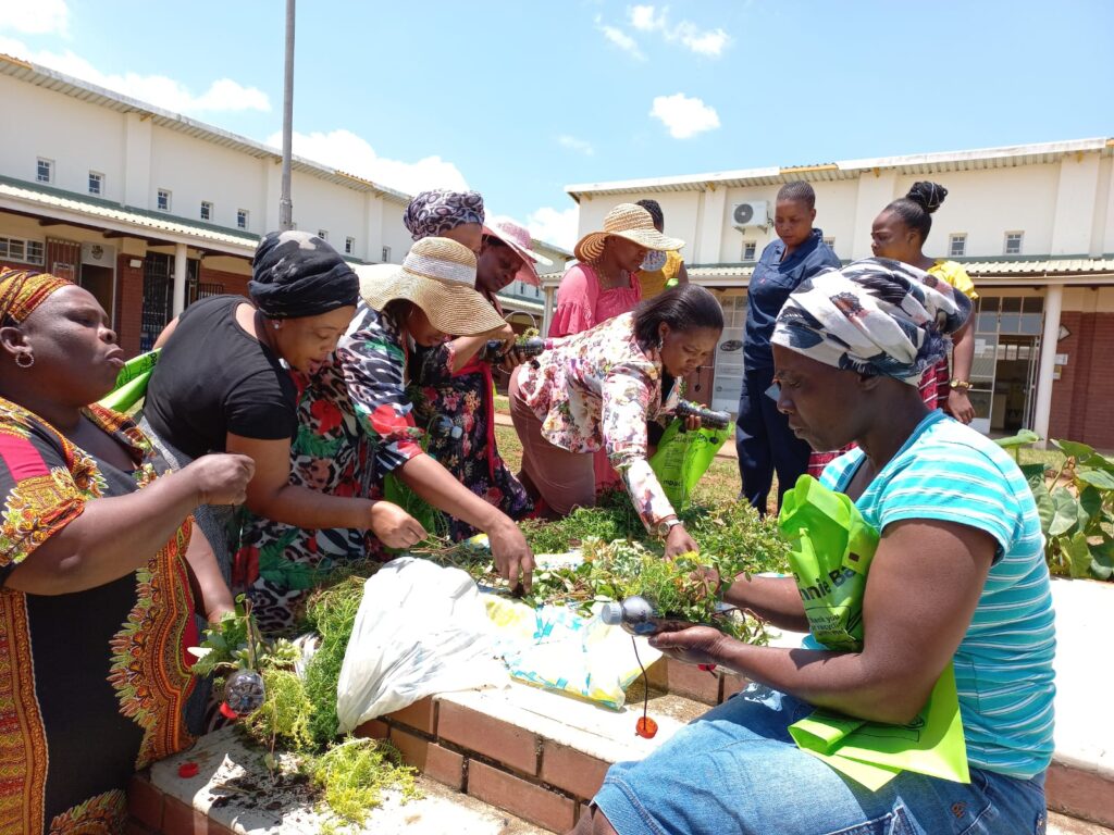 DO MORE FOUNDATION and RCL FOODS Empower uPhongolo Community