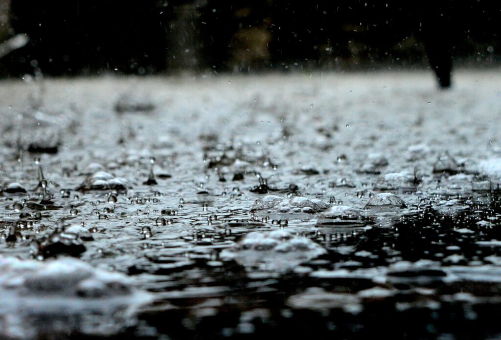 The Latest Updates on Flood Recovery Efforts in Nelson Mandela Bay