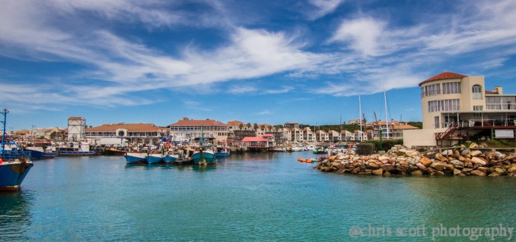 St Francis Bay Celebrates Its Status as South Africa’s Calamari Capital