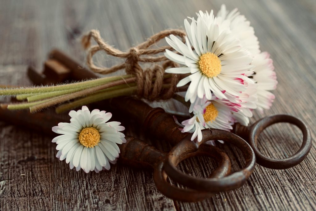 Eco-friendly weddings: A trend or the new norm?