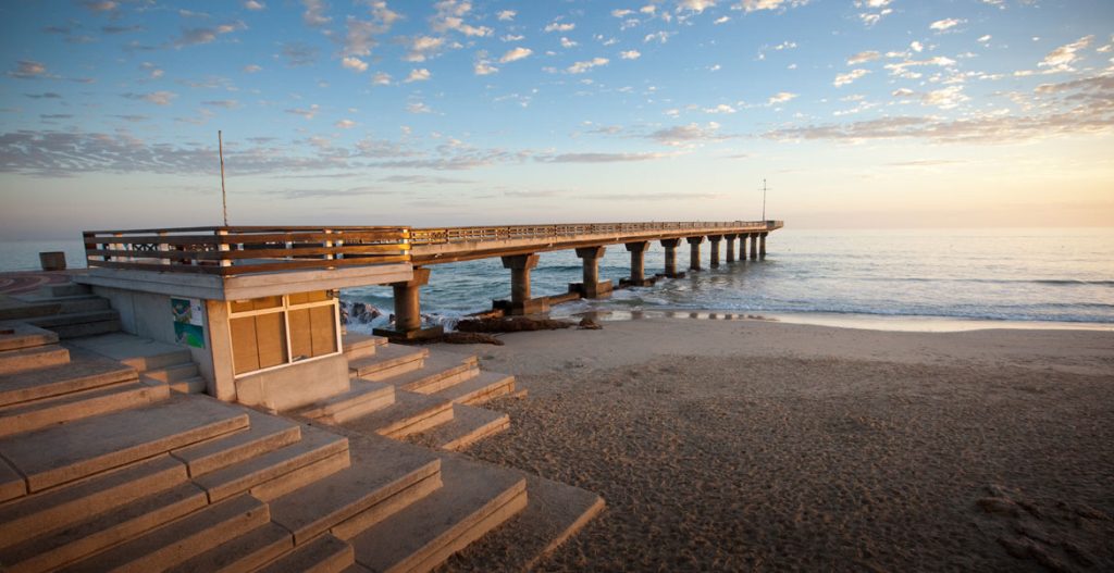 How the Fishwater Flats Biogas Project Will Impact Nelson Mandela Bay Residents