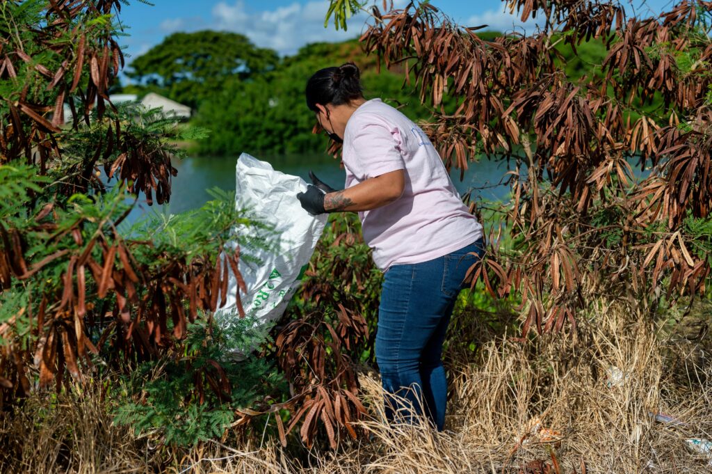 Nelson Mandela Bay Hires 111 Workers to Tackle Litter and Improve Streets