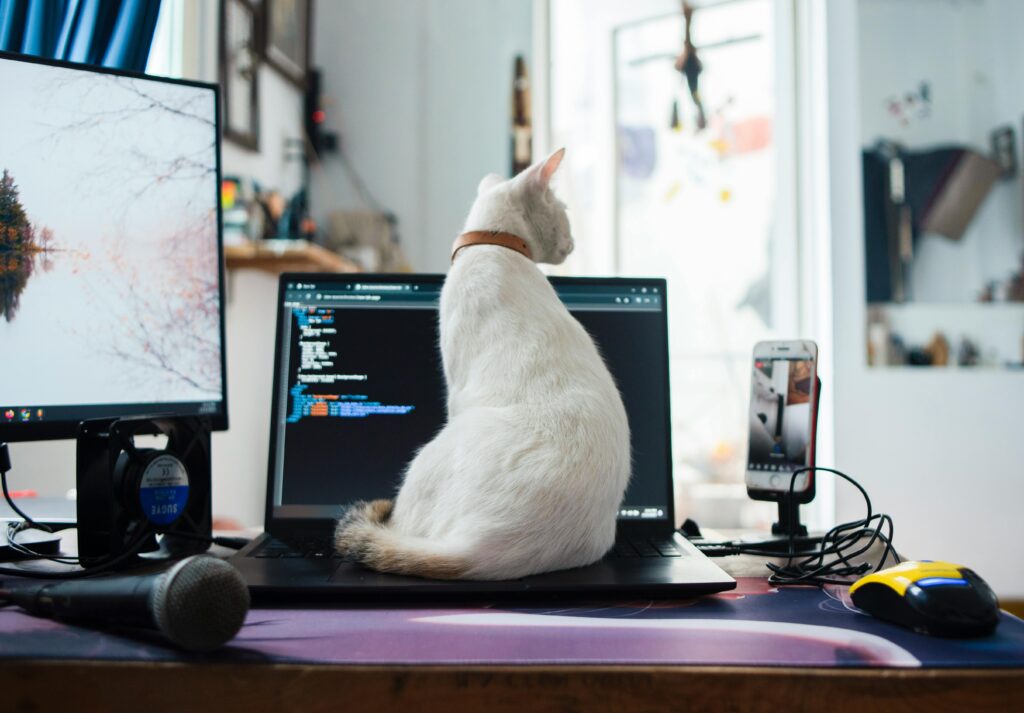 Pet Tech Must-Haves: Gadgets Every Pet Owner Will Love