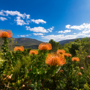 10 of the most photogenic places in Nelson Mandela Bay for your next Instagram post