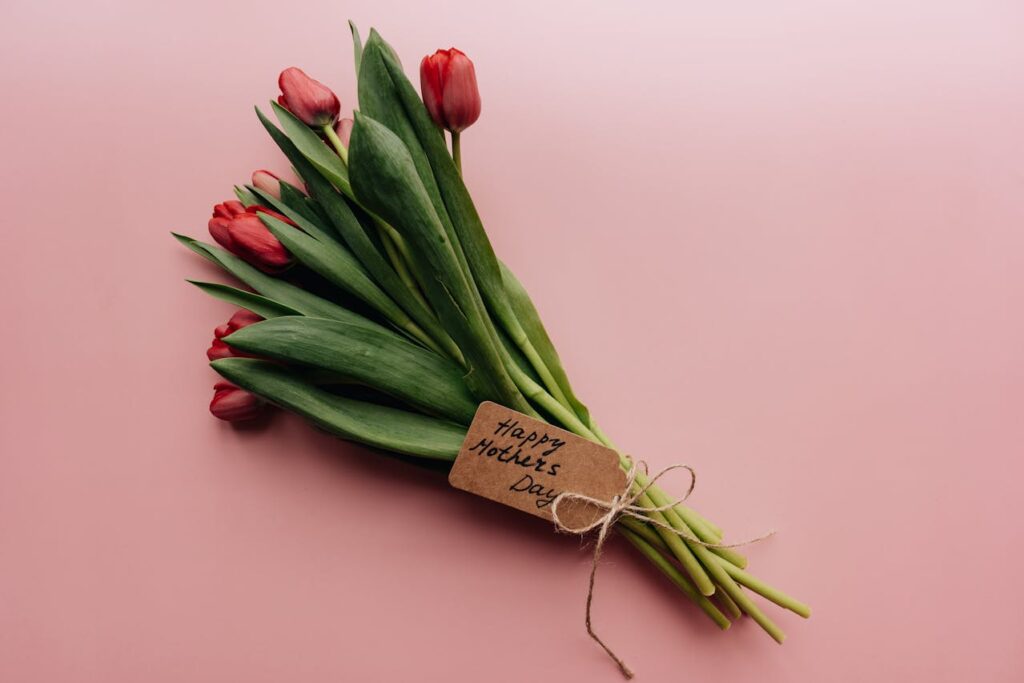 What’s On in Nelson Mandela Bay This Mother’s Day: Markets, Music and Meaningful Moments