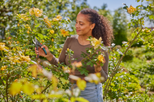 5 Gardening Habits That Could Be Doing More Harm Than Good