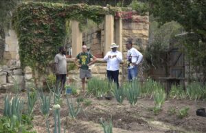 Riky Rick Memorial Forest to Launch as Living Tribute to Healing, Hope and the Environment