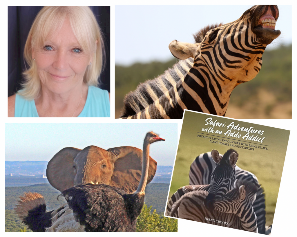 BOOKS | Addo like a local: New book shares the secrets of an ‘Addo addict’