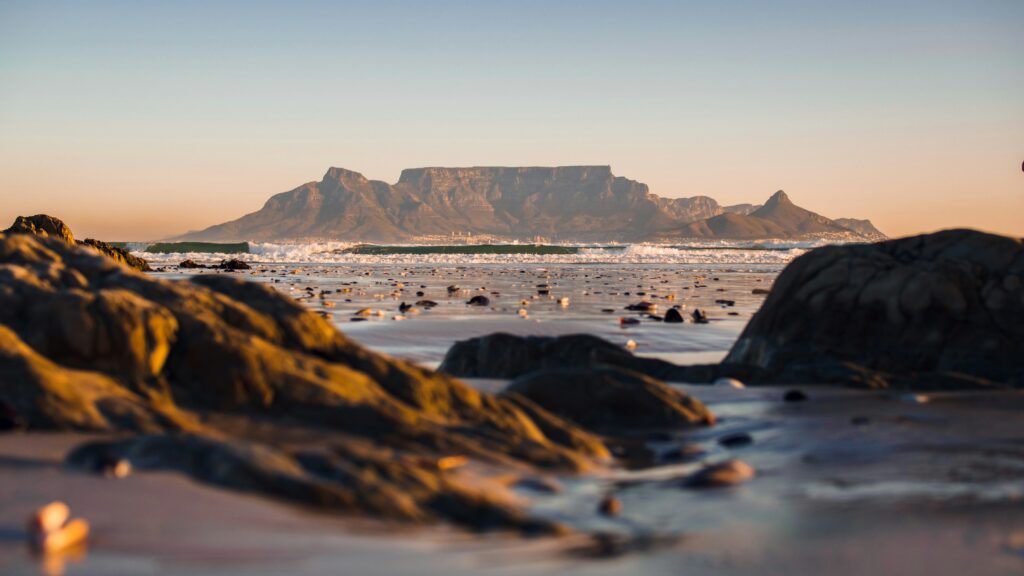 021FOCUS | Surf Expo Africa is back in Cape Town, and you don’t need to be a surfer to enjoy it